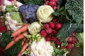 Brantford Farmer's Market - Fresh Vegetables