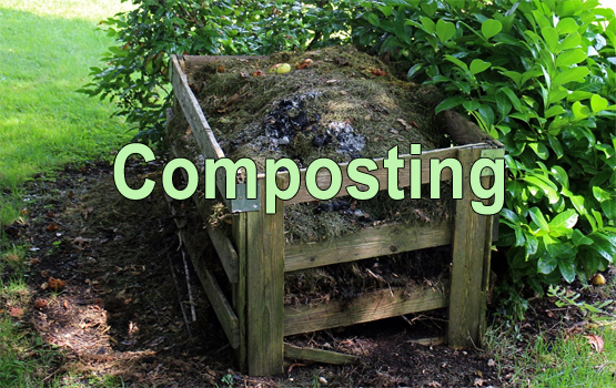 Home Composting