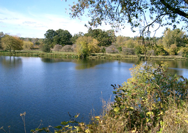 Grand River Brantford